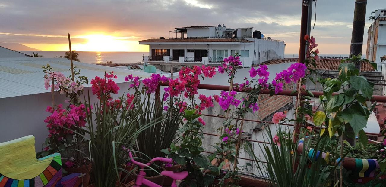 Vallarta (adults Only) Hostel Puerto Vallarta
