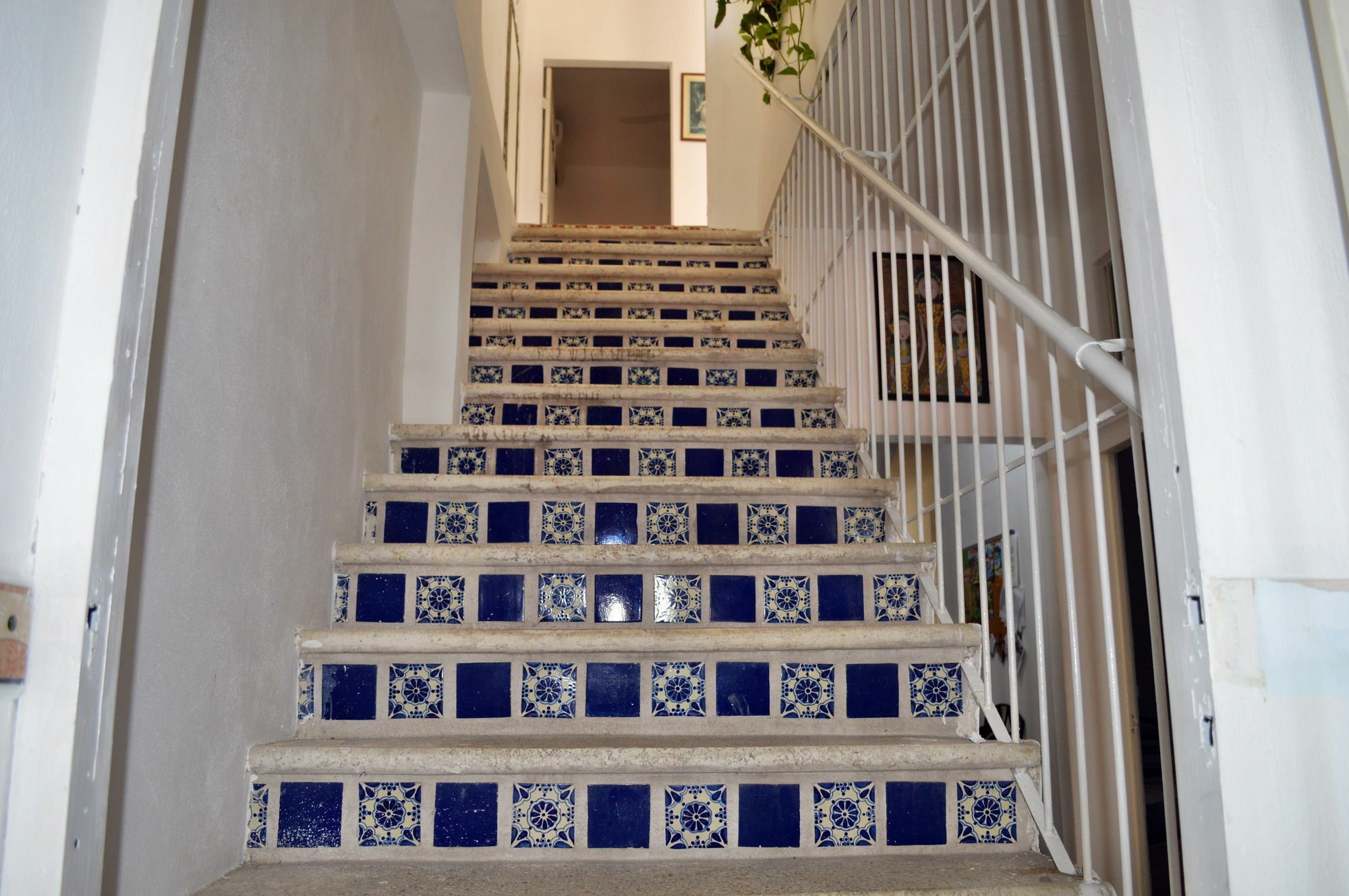 Hostel Alexandross *