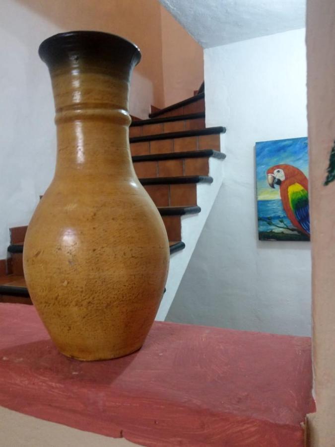 My Local Vallarta