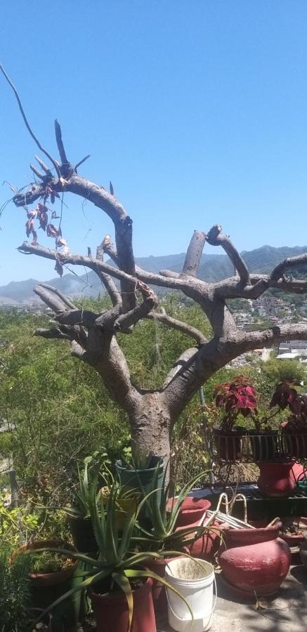 Casa La Vida Es Bella 3*