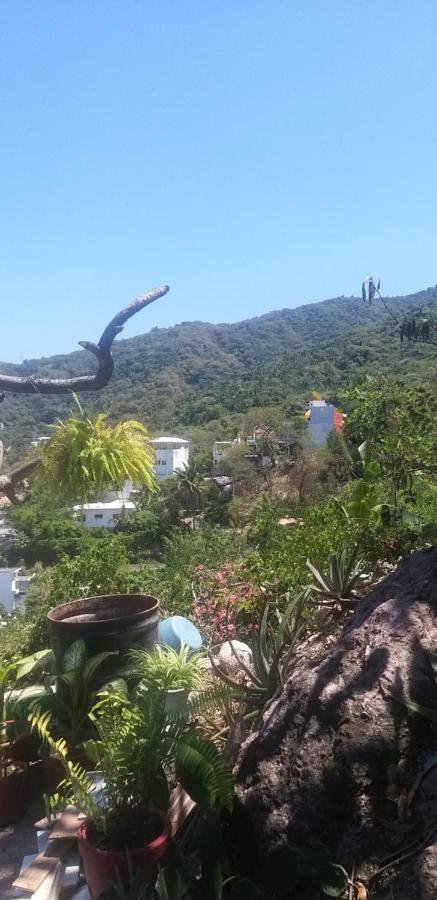 Casa La Vida Es Bella Puerto Vallarta
