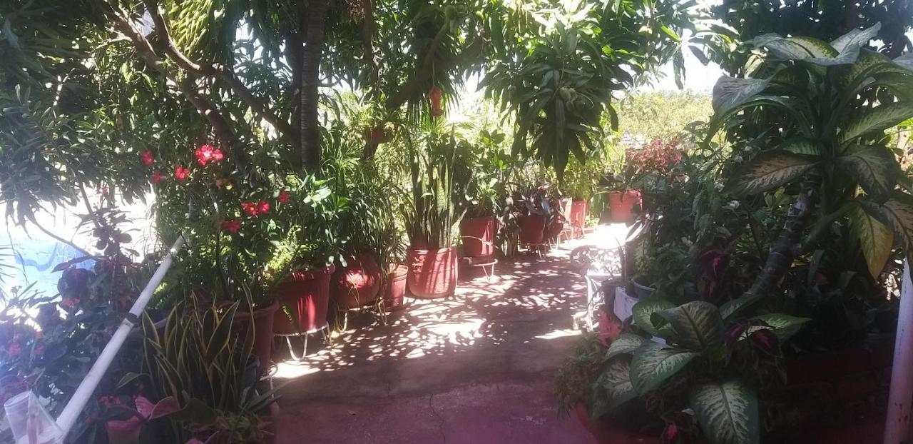 Casa La Vida Es Bella Aparthotel 3*