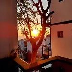 Finca Los Agaves 1