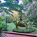2 Bedroom Treetop Condo