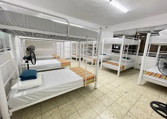 Vive Alegria Hostel