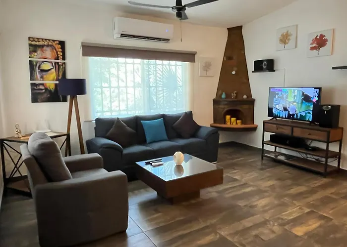 La Villa Palmier - Your quiet house