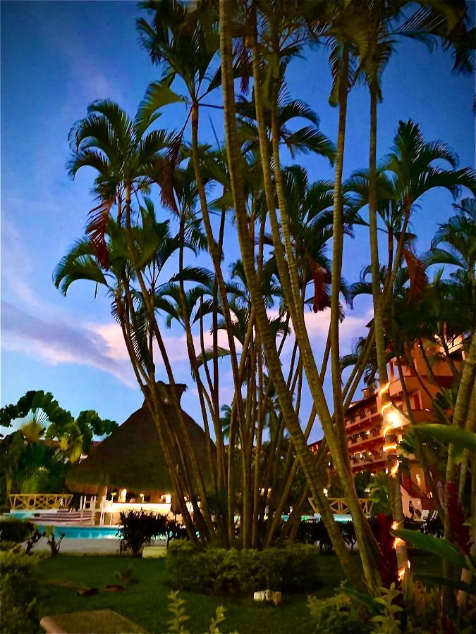 Departamento En Marina Vallarta New Listing Apartment *