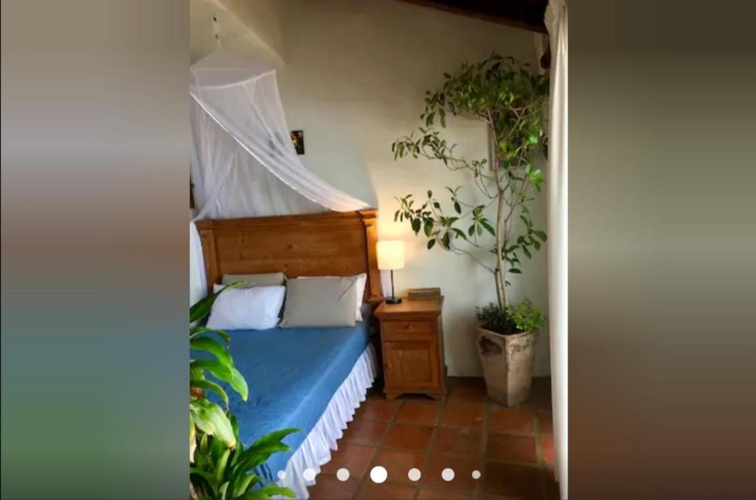 Apartment Beachfront Coziness At Barracuda At Playa Camarones *