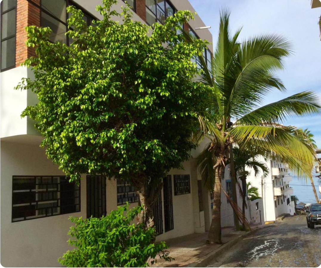 Pilitas Vallarta
