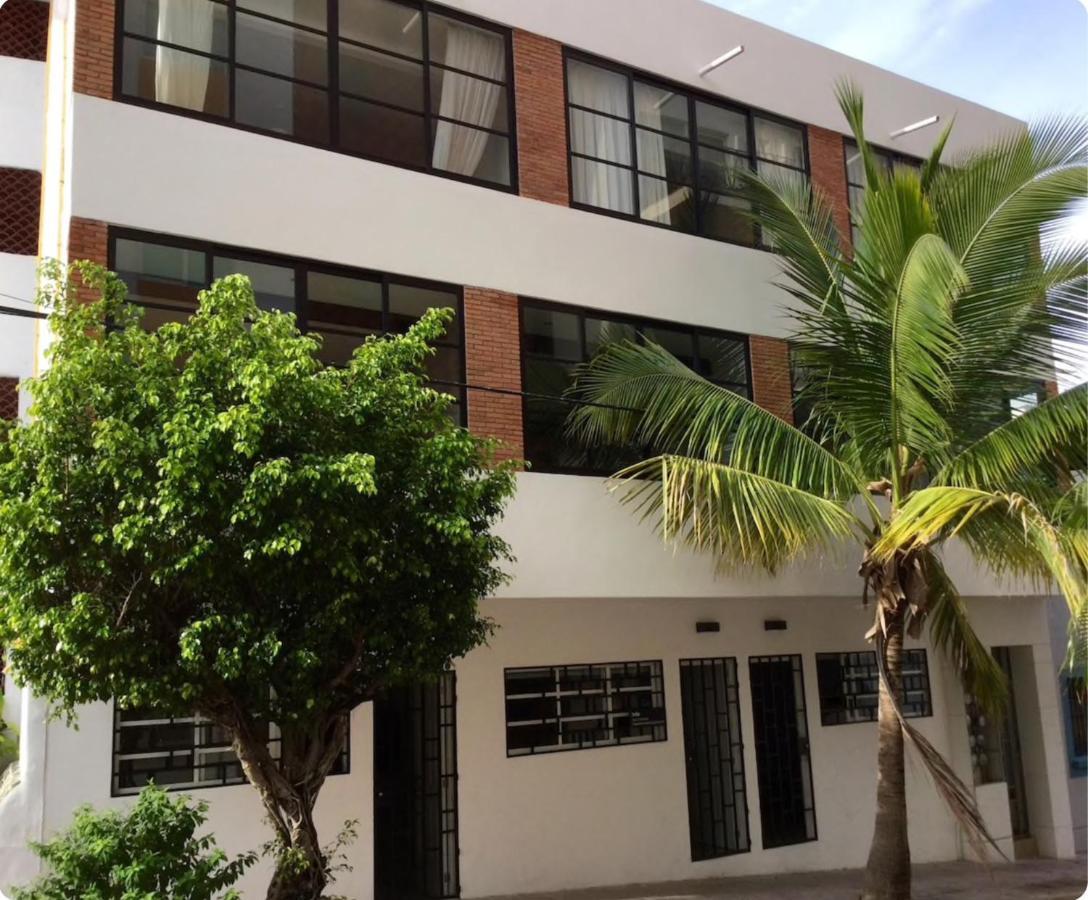 Pilitas Vallarta *