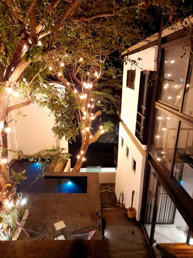 Homestay Finca Los Agaves 1