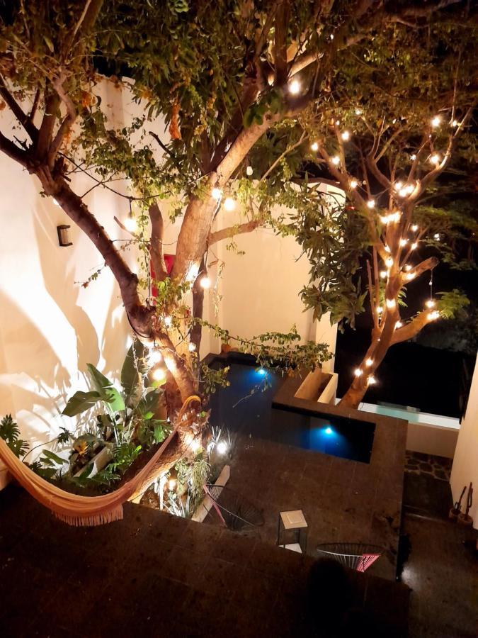 Finca Los Agaves 1 Homestay *
