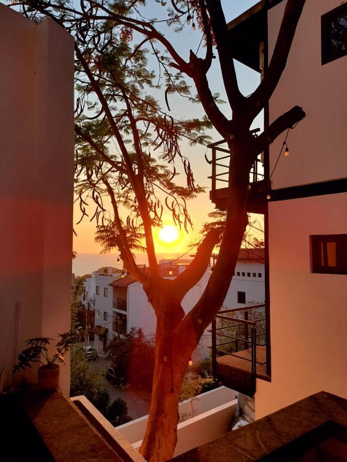Homestay Finca Los Agaves 1 *