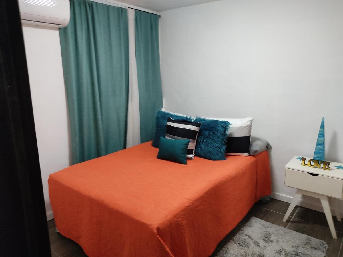 Departamento De La Aurora 2019 *