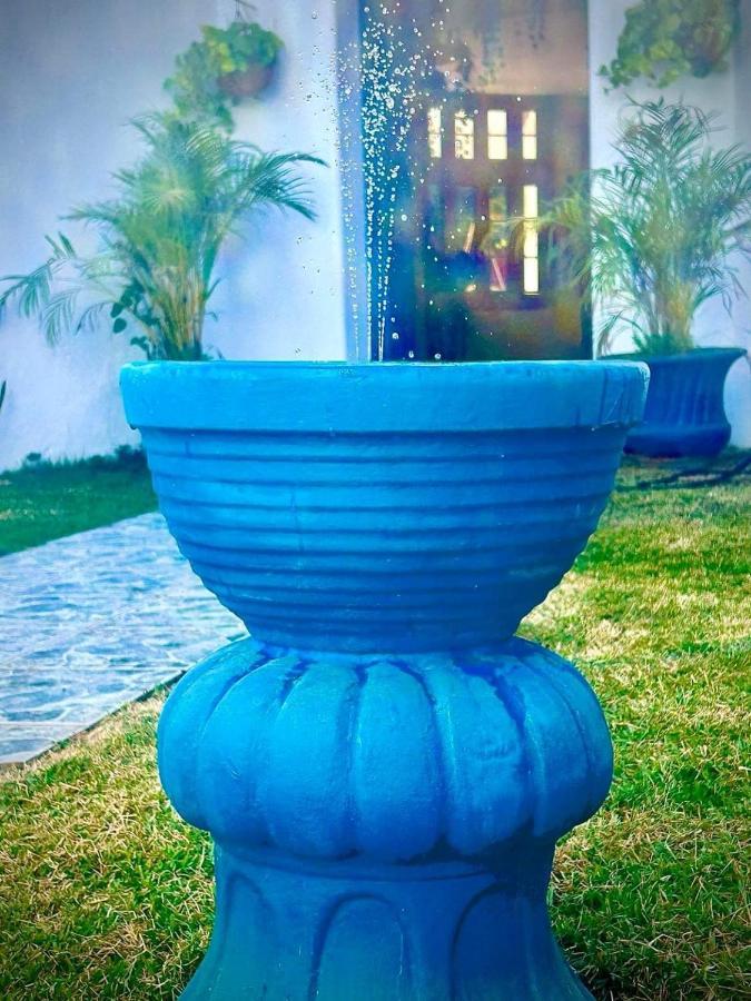 Oasis-naranja Homestay