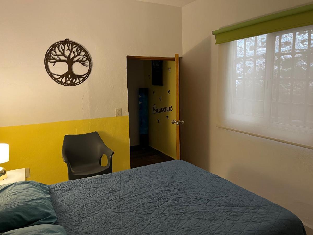 Villa La Palmier - Your Quiet House *