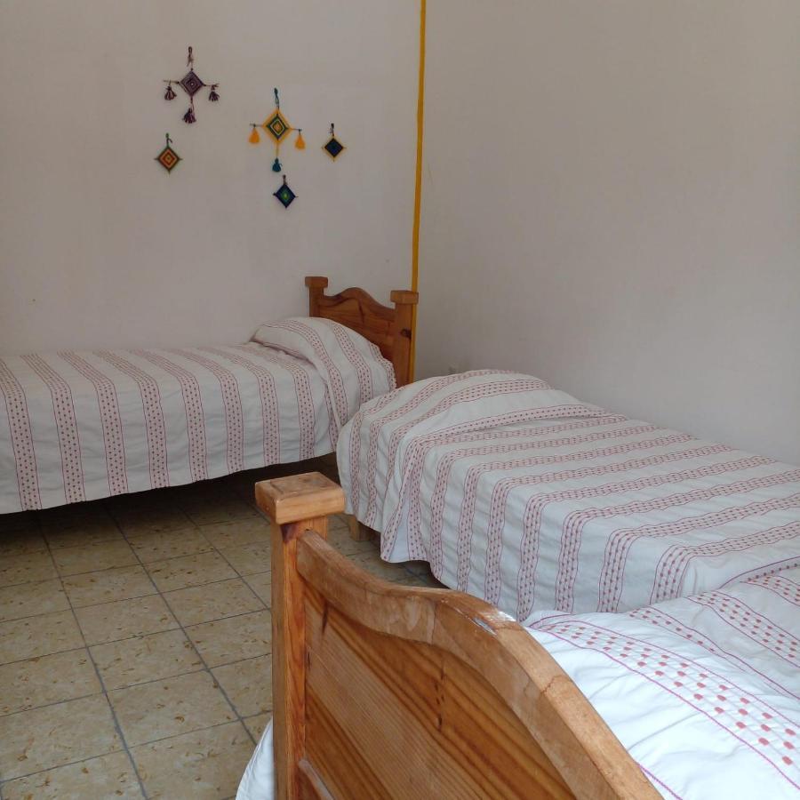 Vive Alegria Hostel Puerto Vallarta