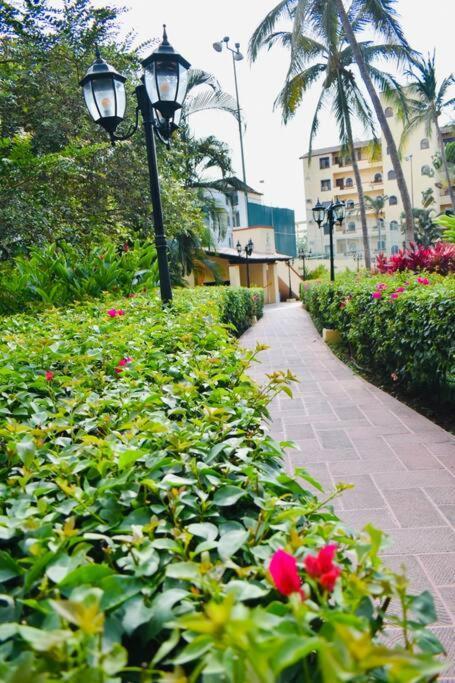 Cazamora Puerto Vallarta