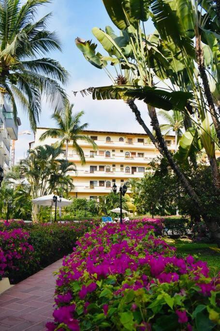 Cazamora * Puerto Vallarta