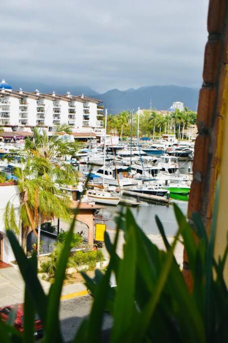 Cazamora * Puerto Vallarta