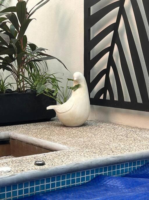 Casapv At Serenity Tower Apartment