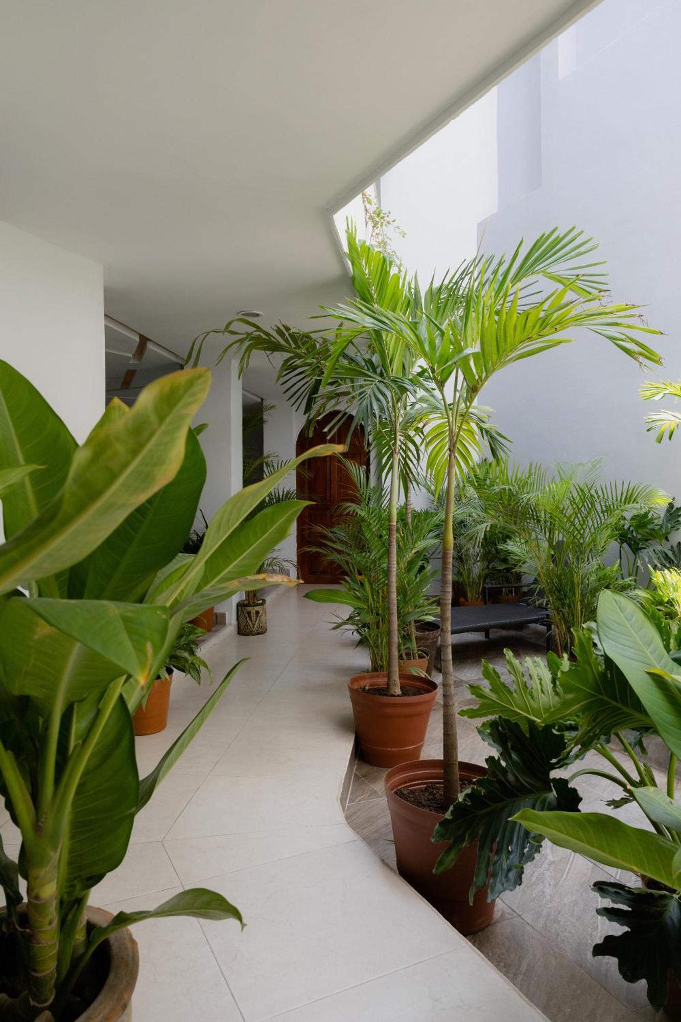 Casa Galeria Front