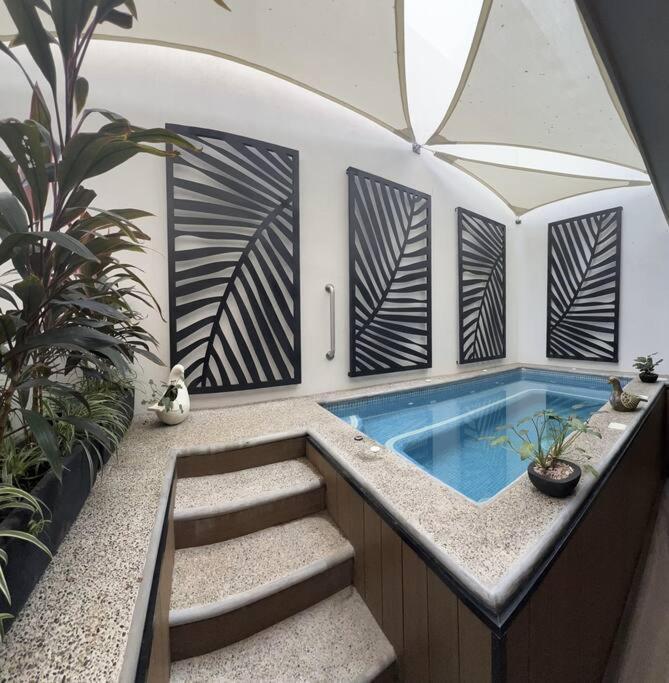 Casapv At Serenity Tower Apartment
