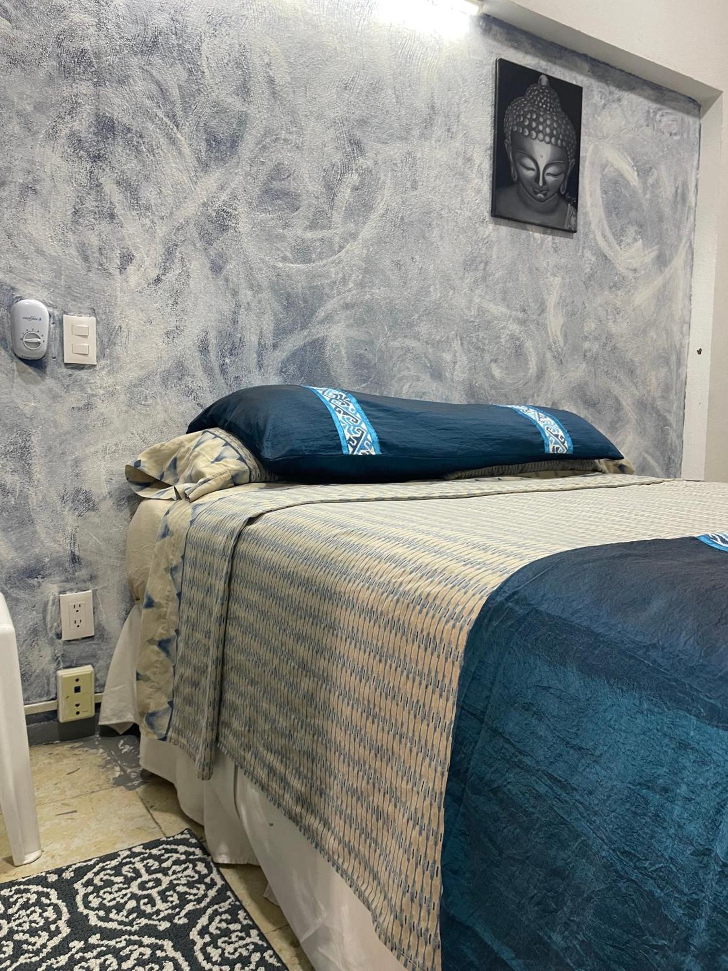 Hostel Vive Alegria *