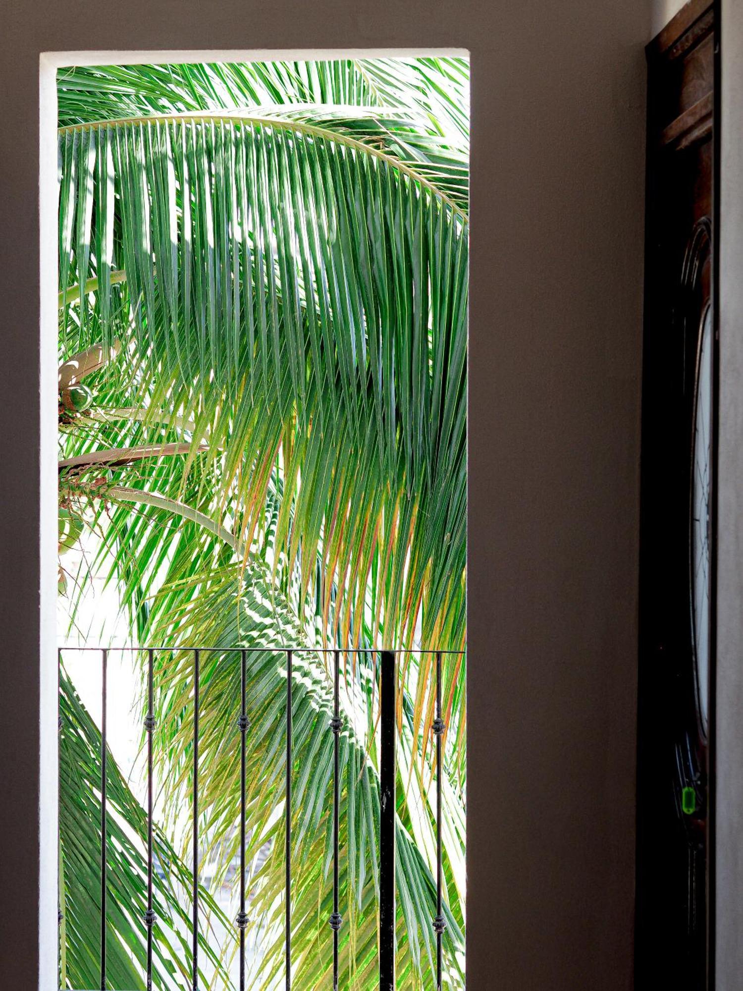 Gonzalez * Puerto Vallarta