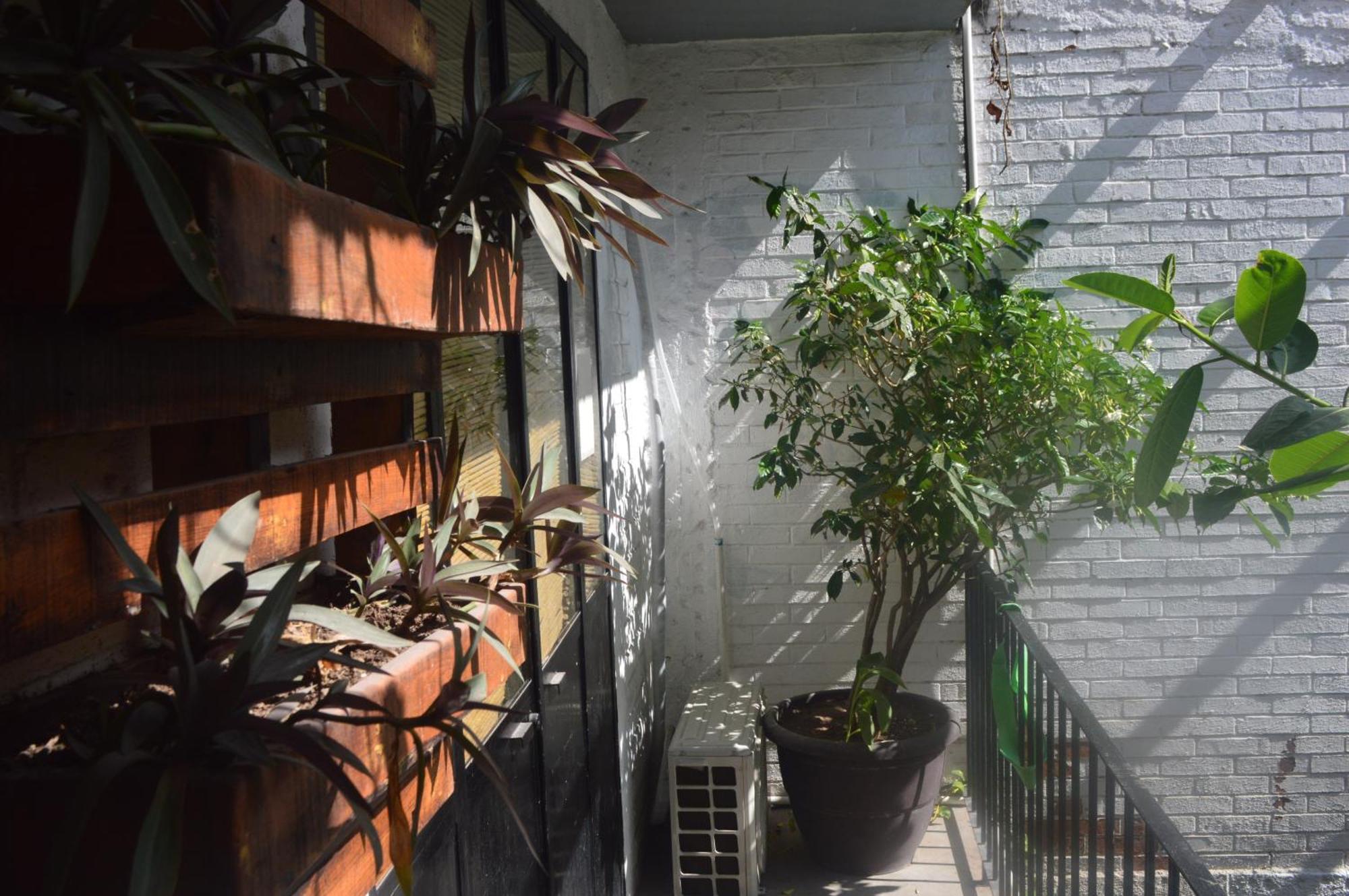 Canova & Pizza Hostel *