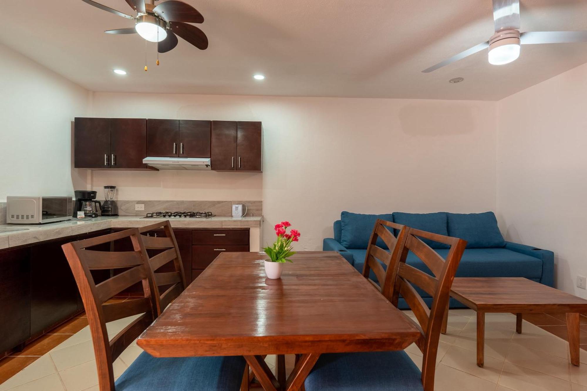 New Tranquil Oasis In Apartment