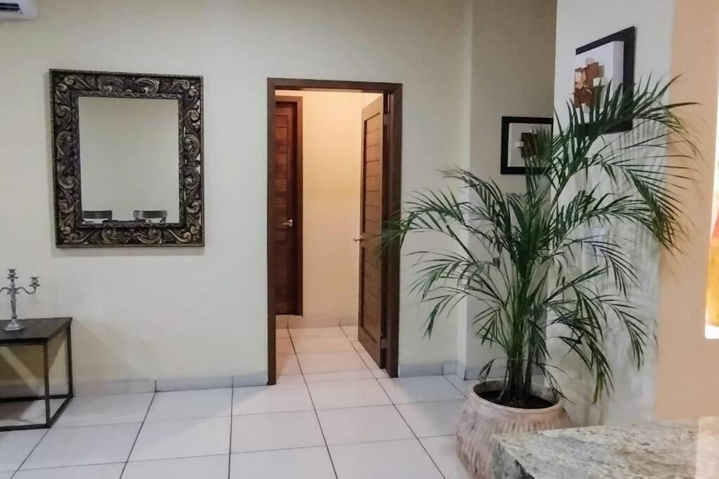 Amplio Departamento, En Zona Romantica *
