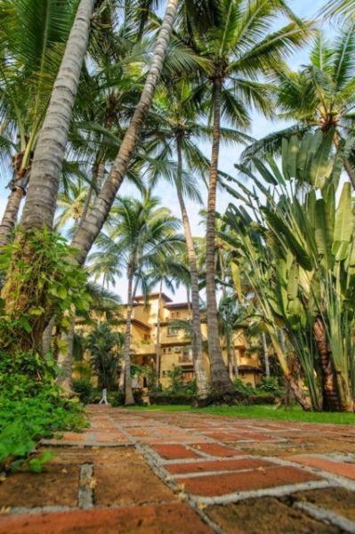 Hotel Los Tules Puerto Vallarta