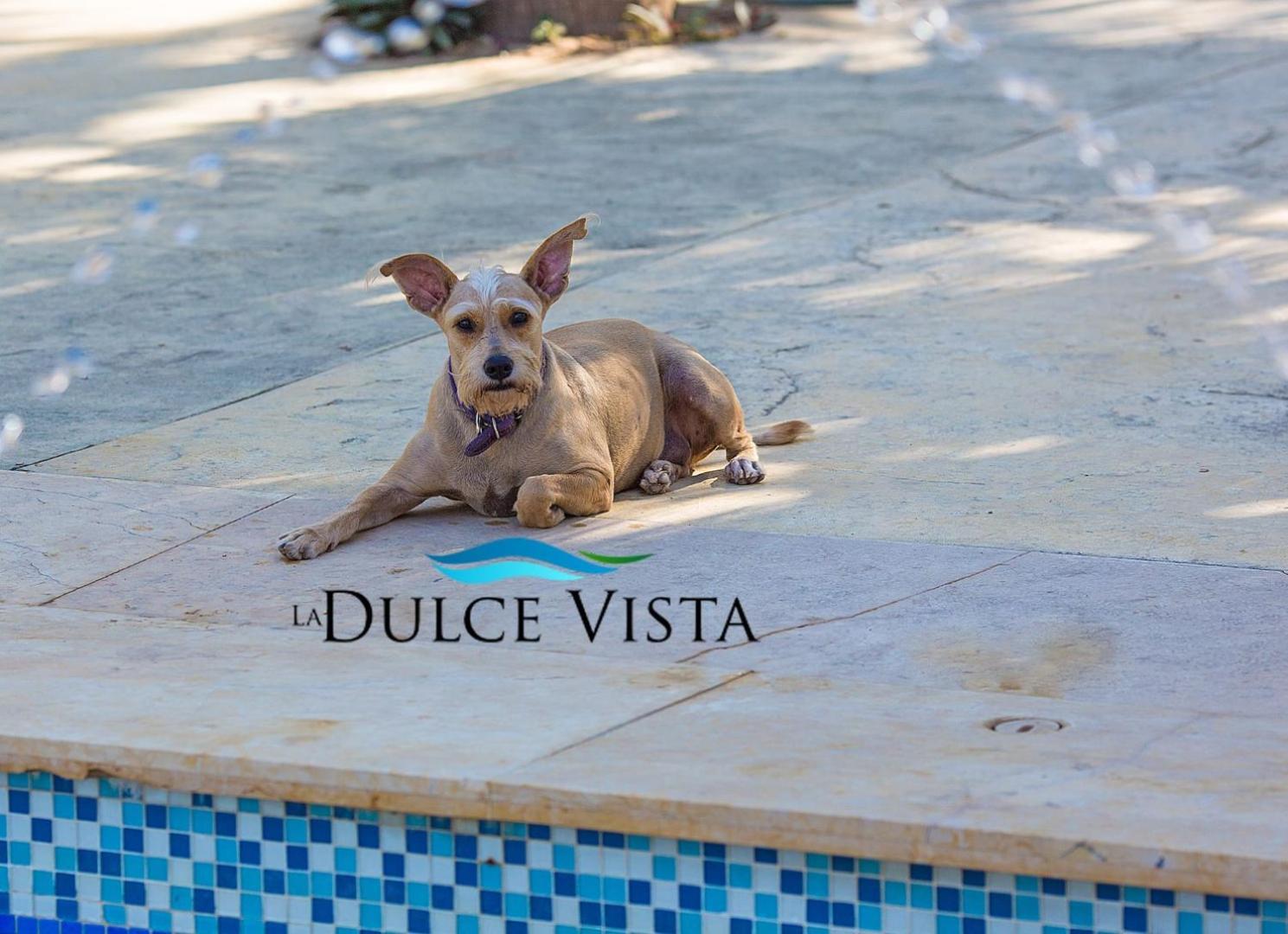 Hotel La Dulce Vista & - Sierra Madre