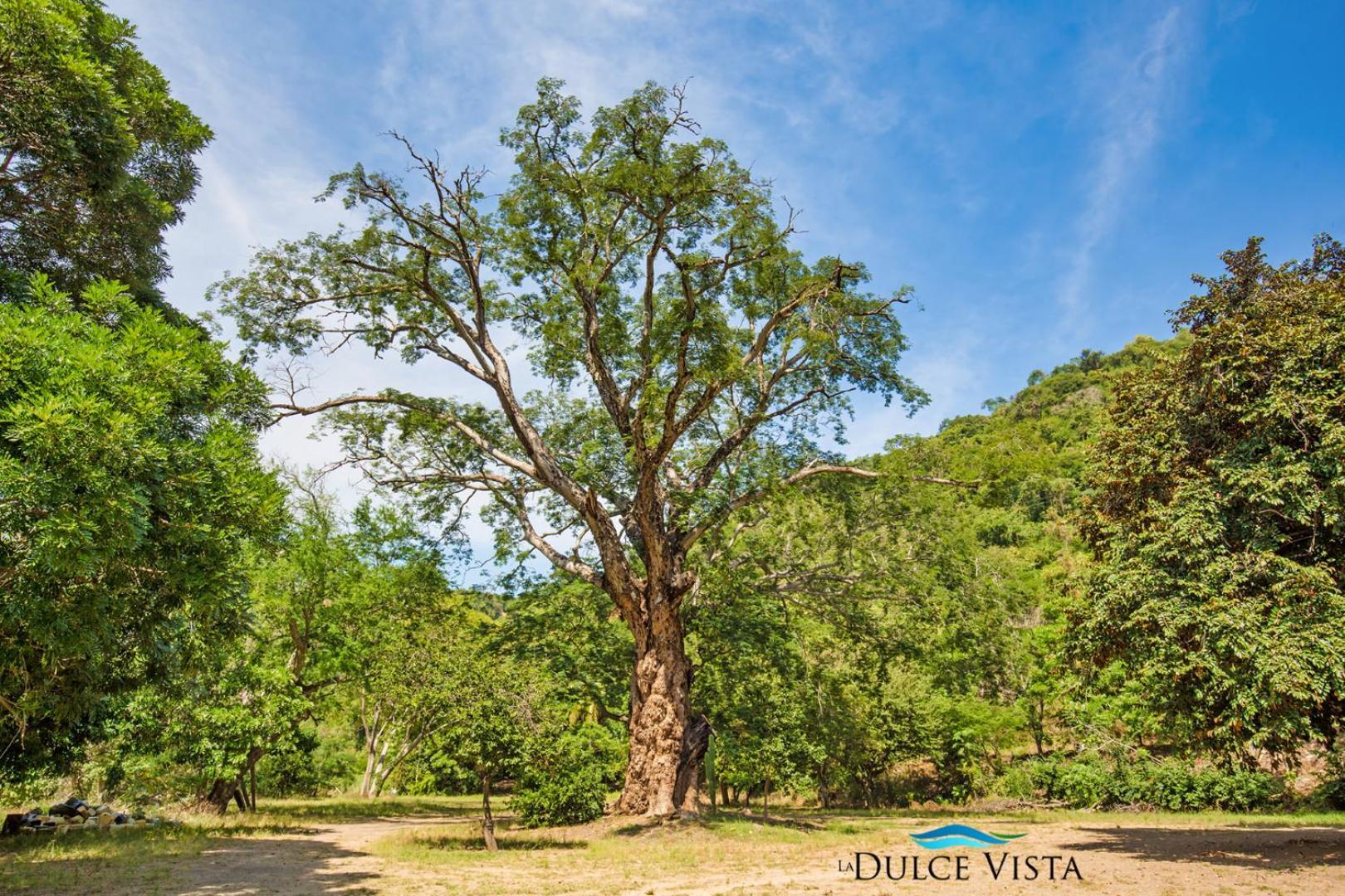 La Dulce Vista & - Sierra Madre 4* Puerto Vallarta