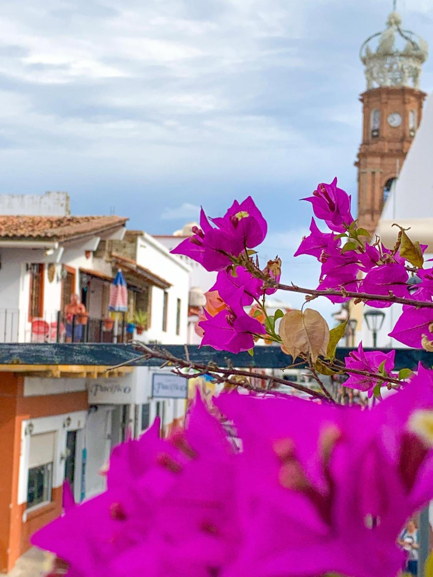Hostel Casa Frida Gaylodging