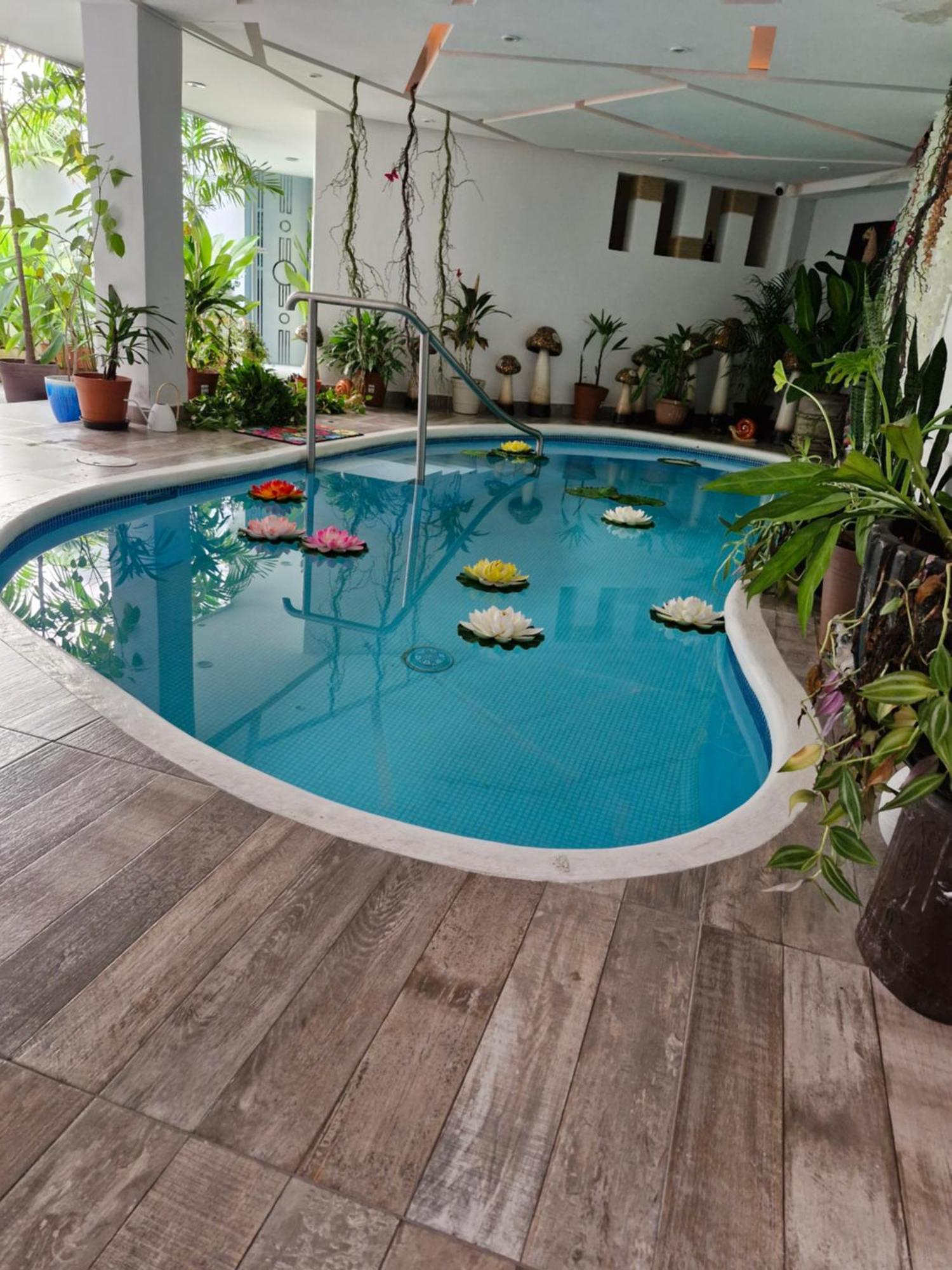 Casa Galeria In Pv * Puerto Vallarta