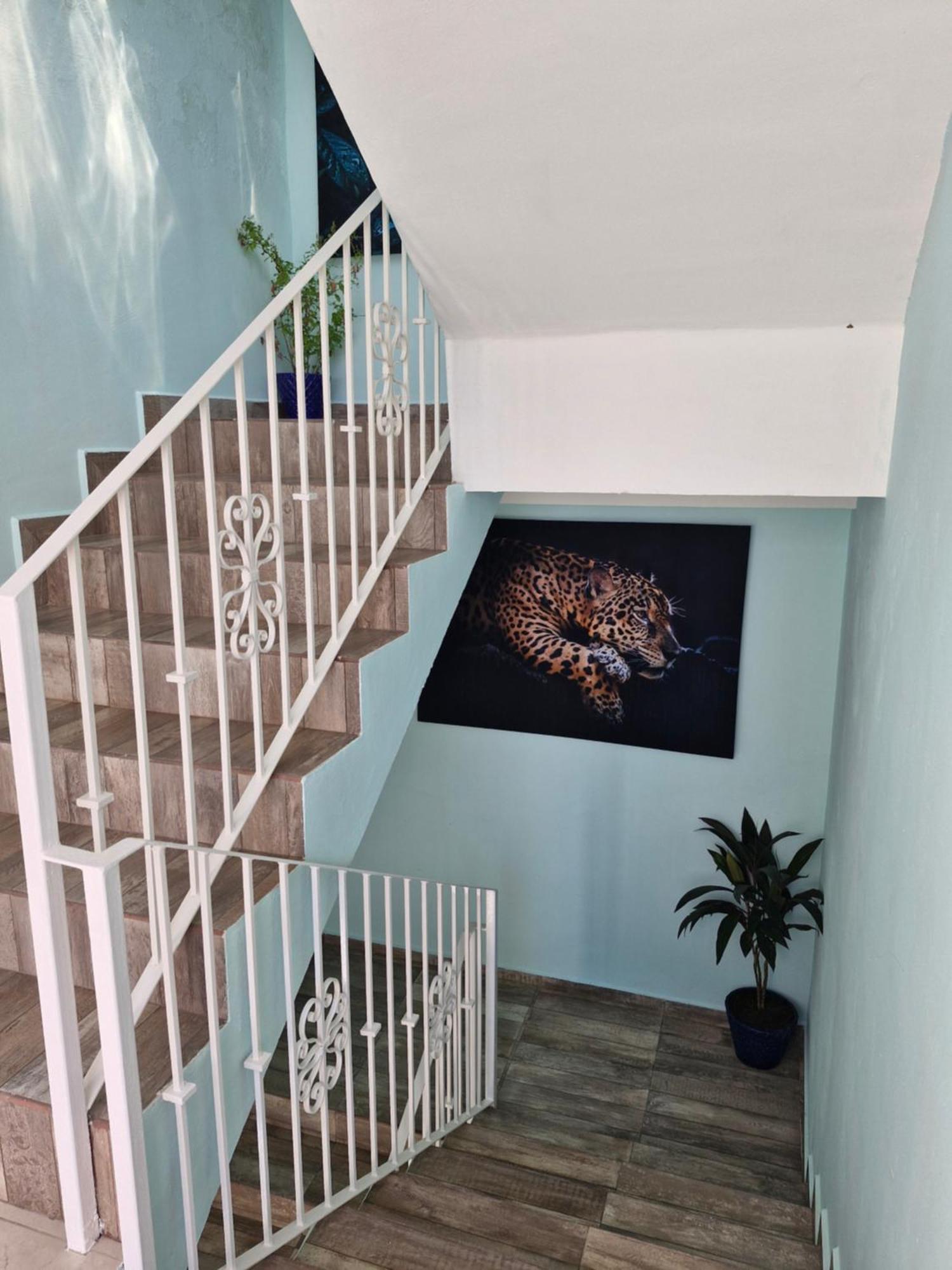 Apartment Casa Galeria In Pv *