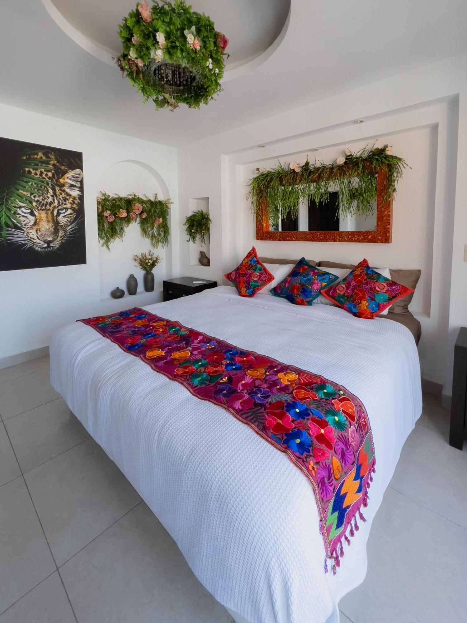 Casa Galeria In Pv