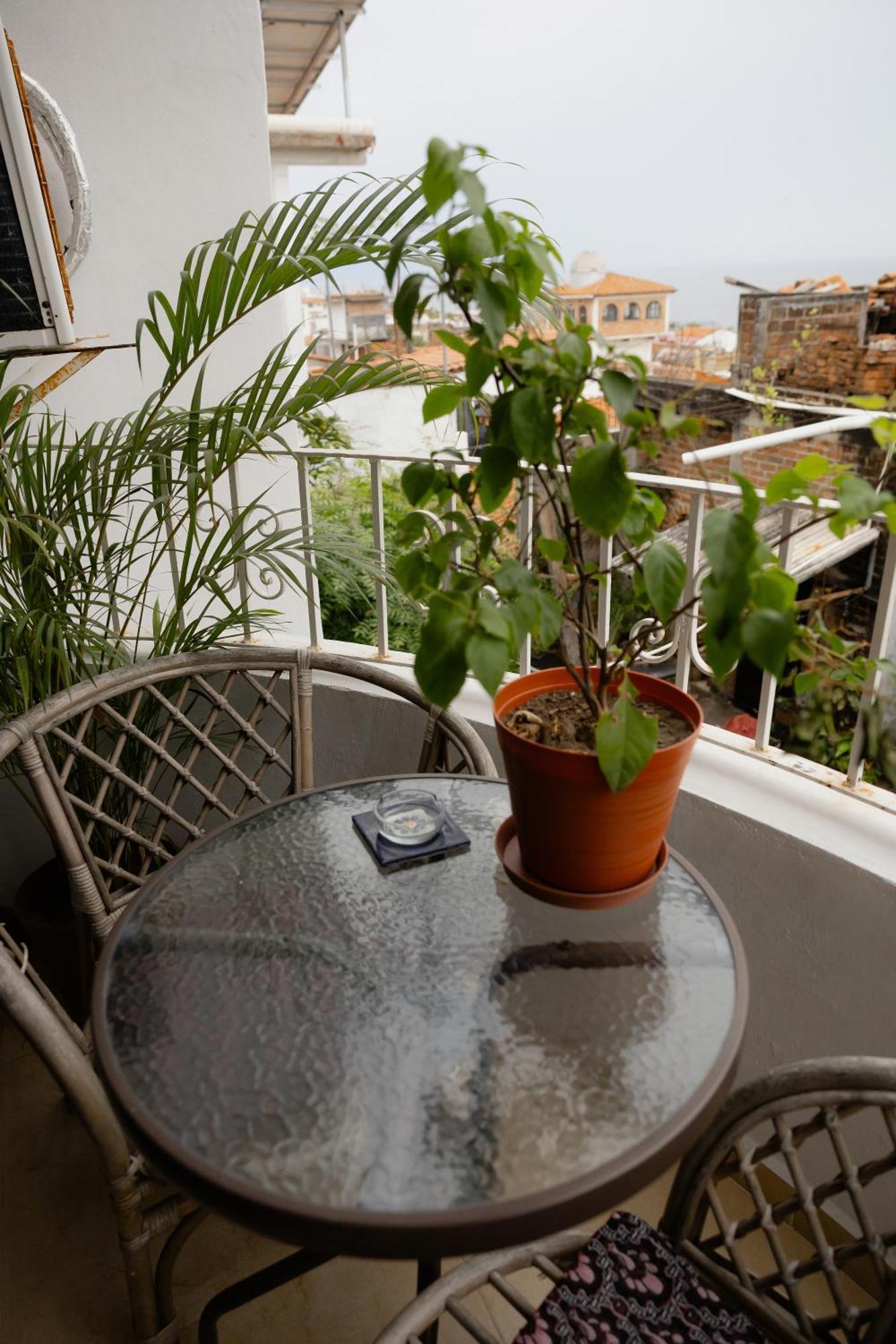 Casa Galeria In Pv *