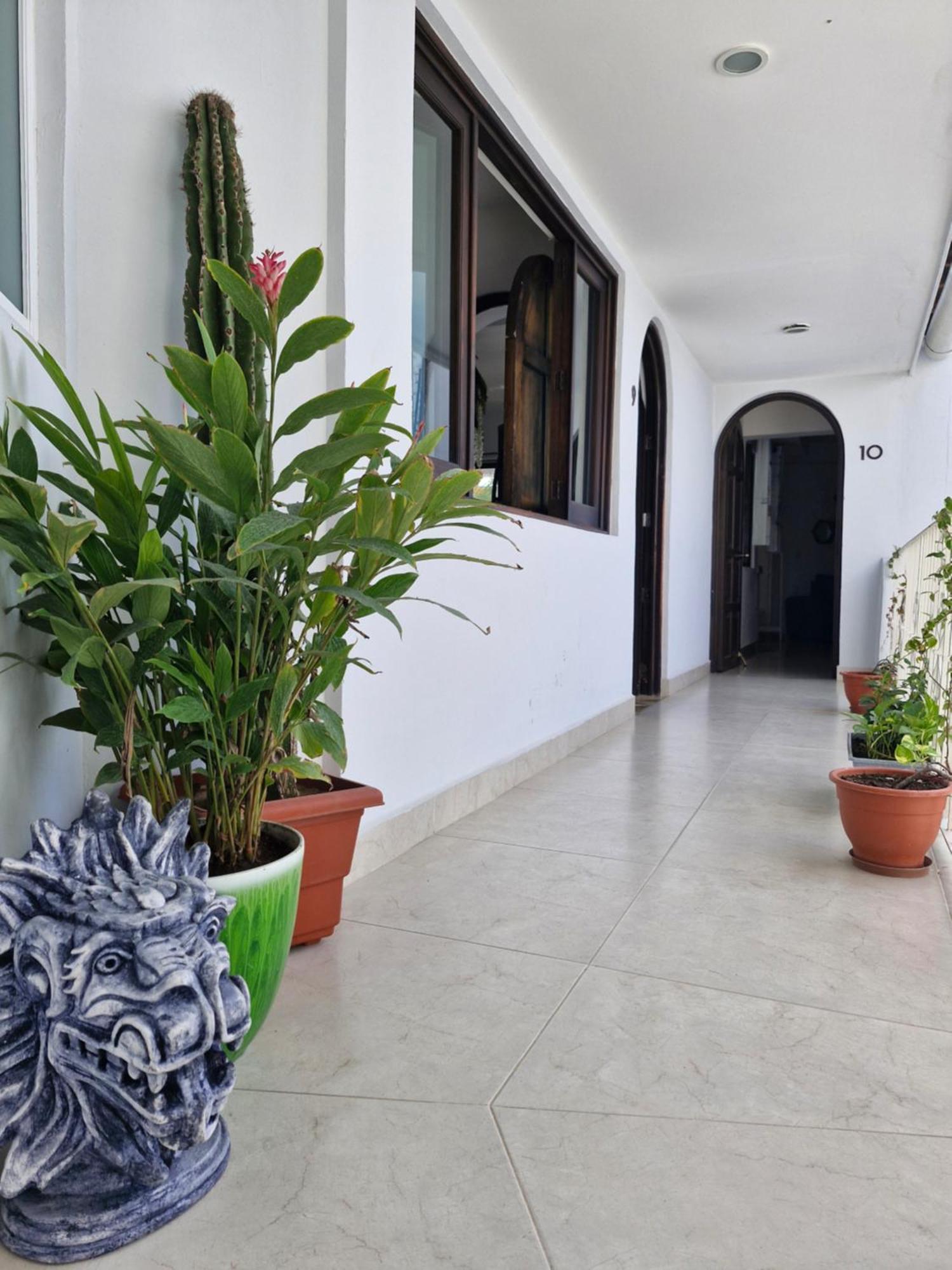 Casa Galeria In Pv * Puerto Vallarta