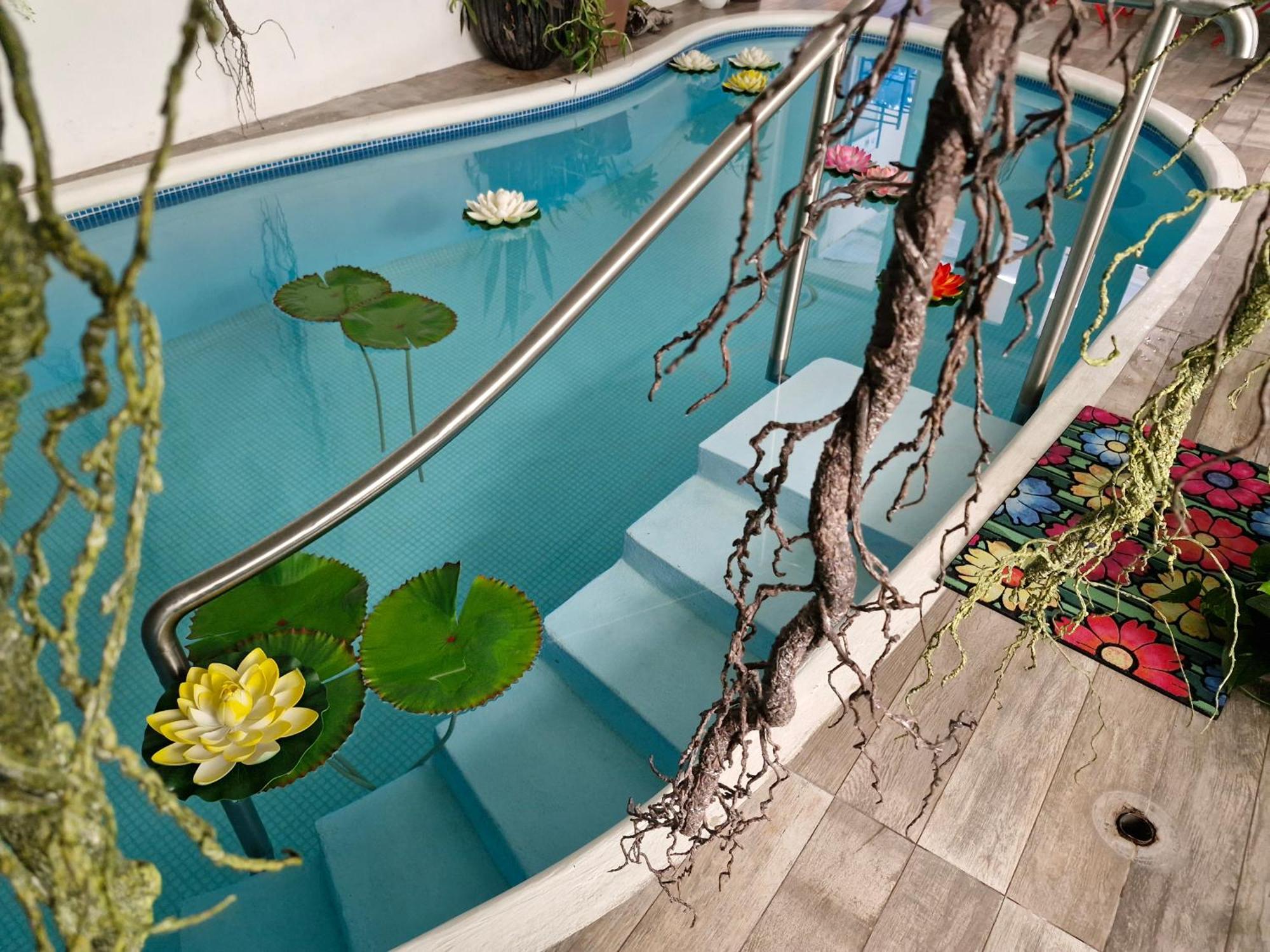 Casa Galeria In Pv Apartment
