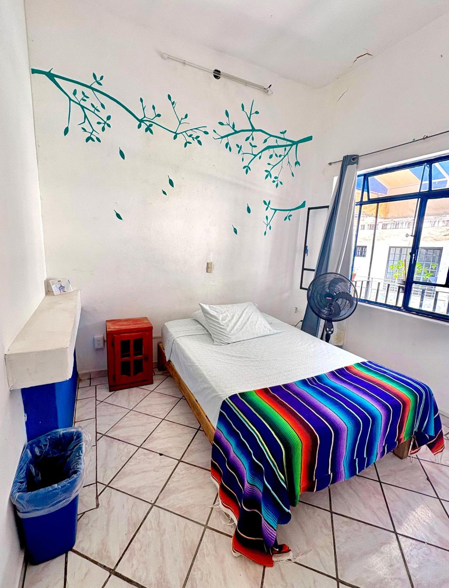 Casa Frida Gaylodging Puerto Vallarta