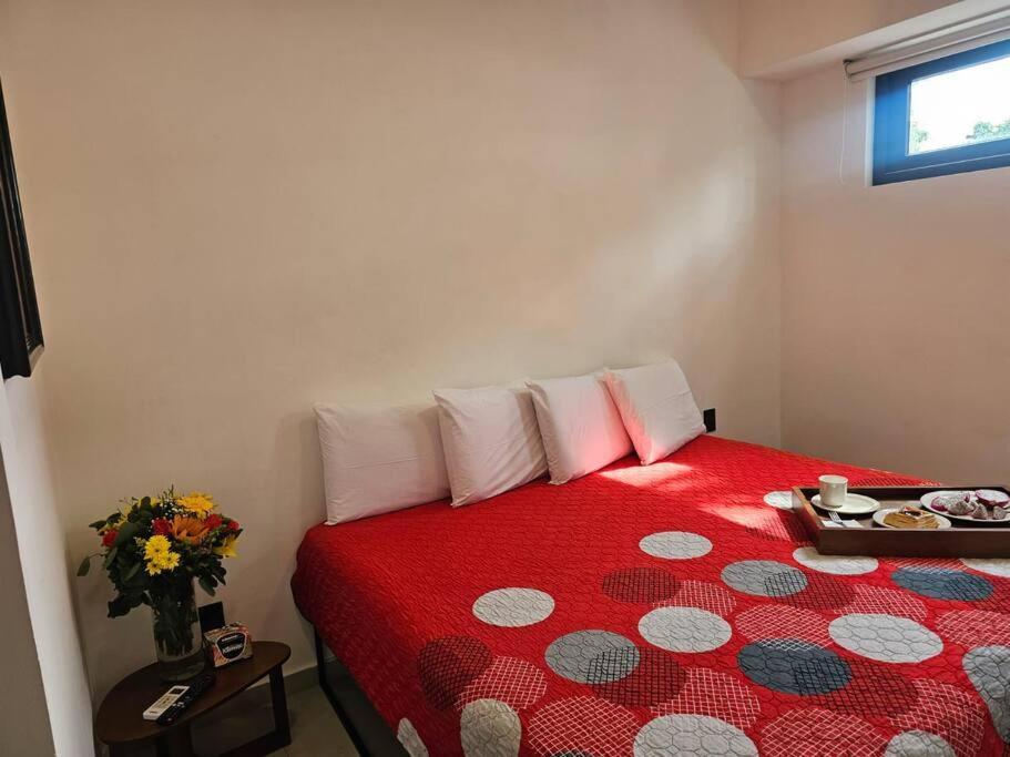 Apartment Loft Nuevo En Zona Romantica 203