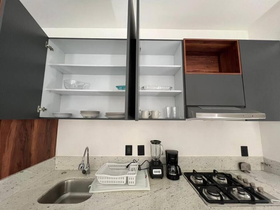Loft Nuevo En Zona Romantica 203 Apartment