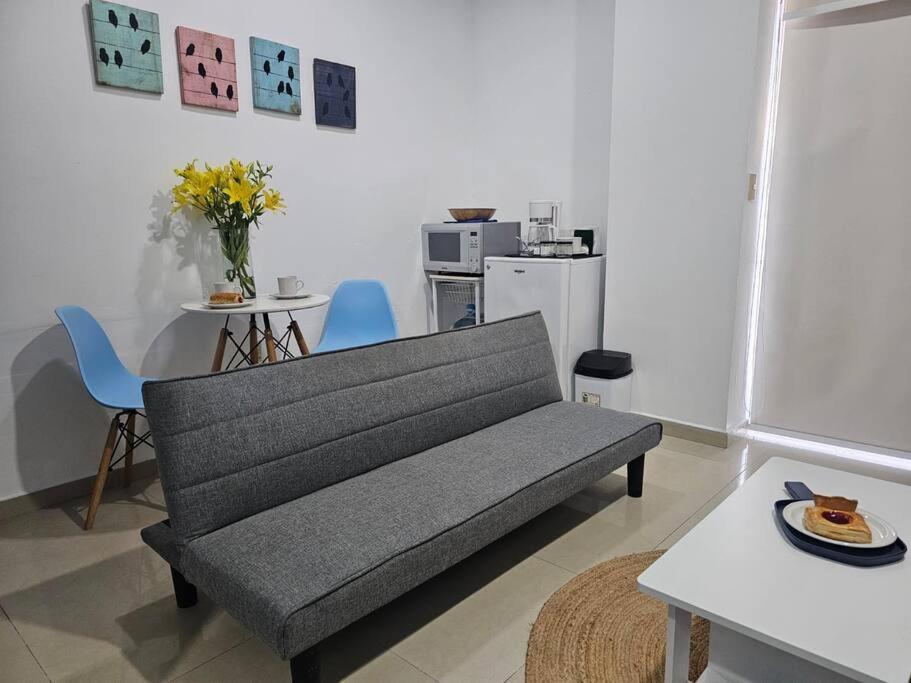 Mono Espacio En Zona Romantica L3 Puerto Vallarta