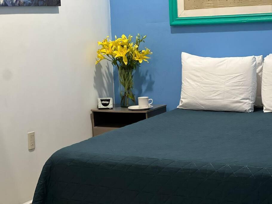 Mono Espacio En Zona Romantica L3 * Puerto Vallarta