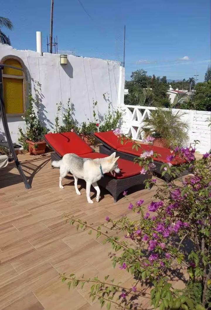 Homestay Private In A Boho House N1 Puerto Vallarta