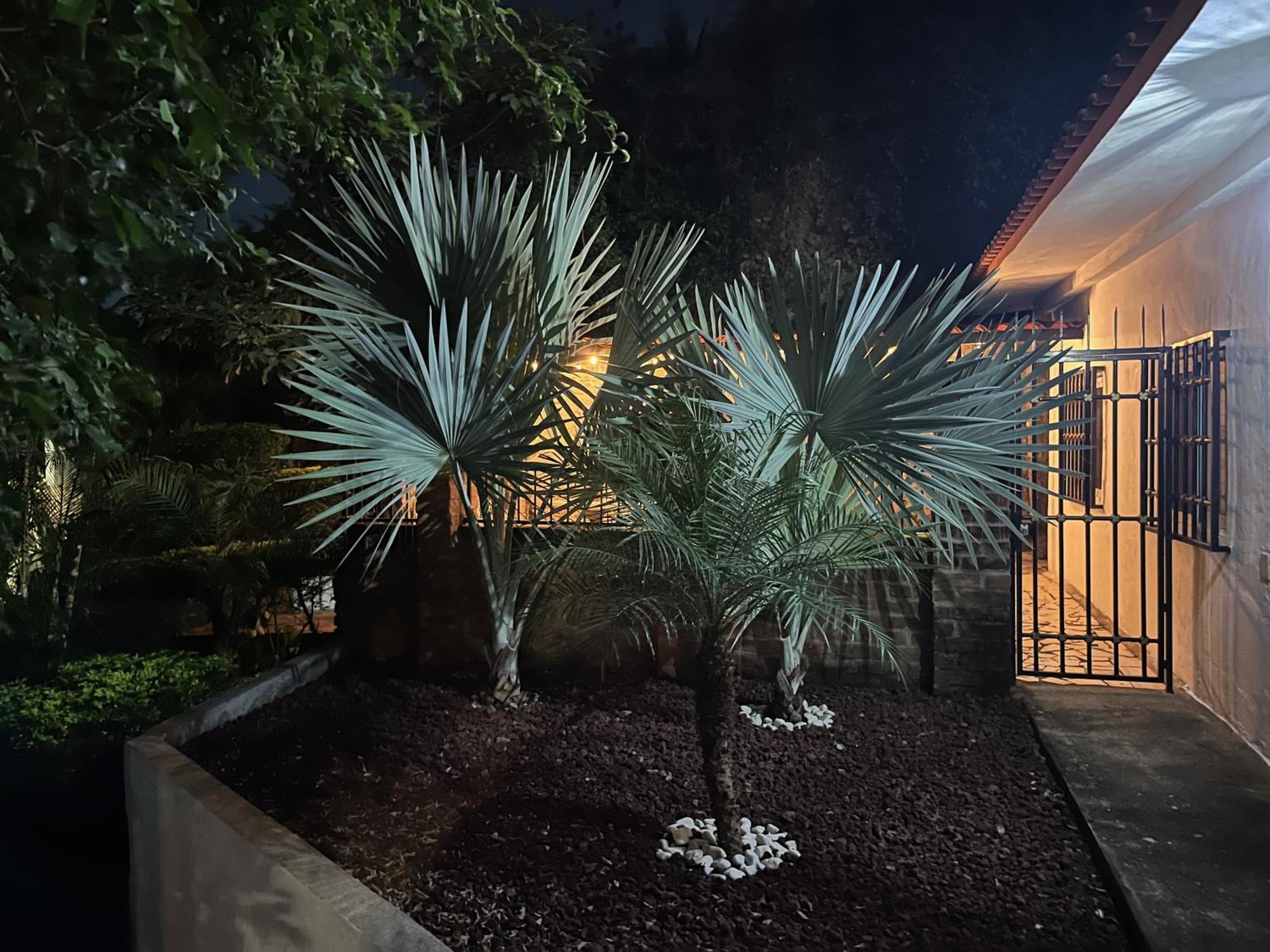 Villa La Palmier - Your Quiet House *