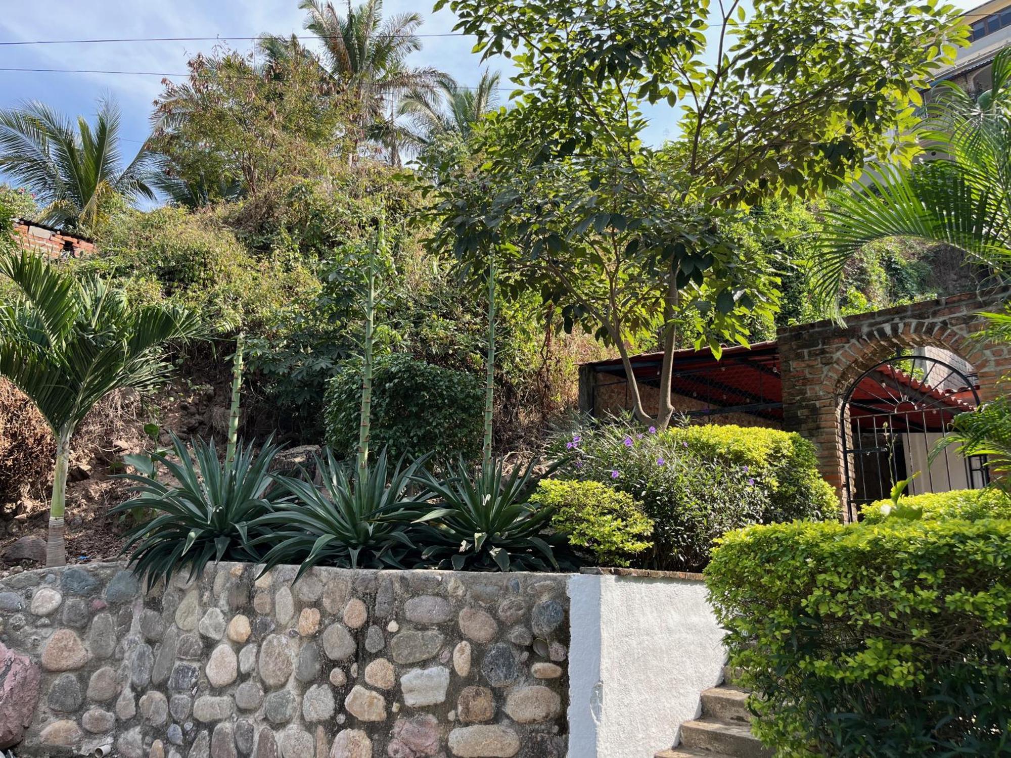 La Palmier - Your Quiet House * Puerto Vallarta